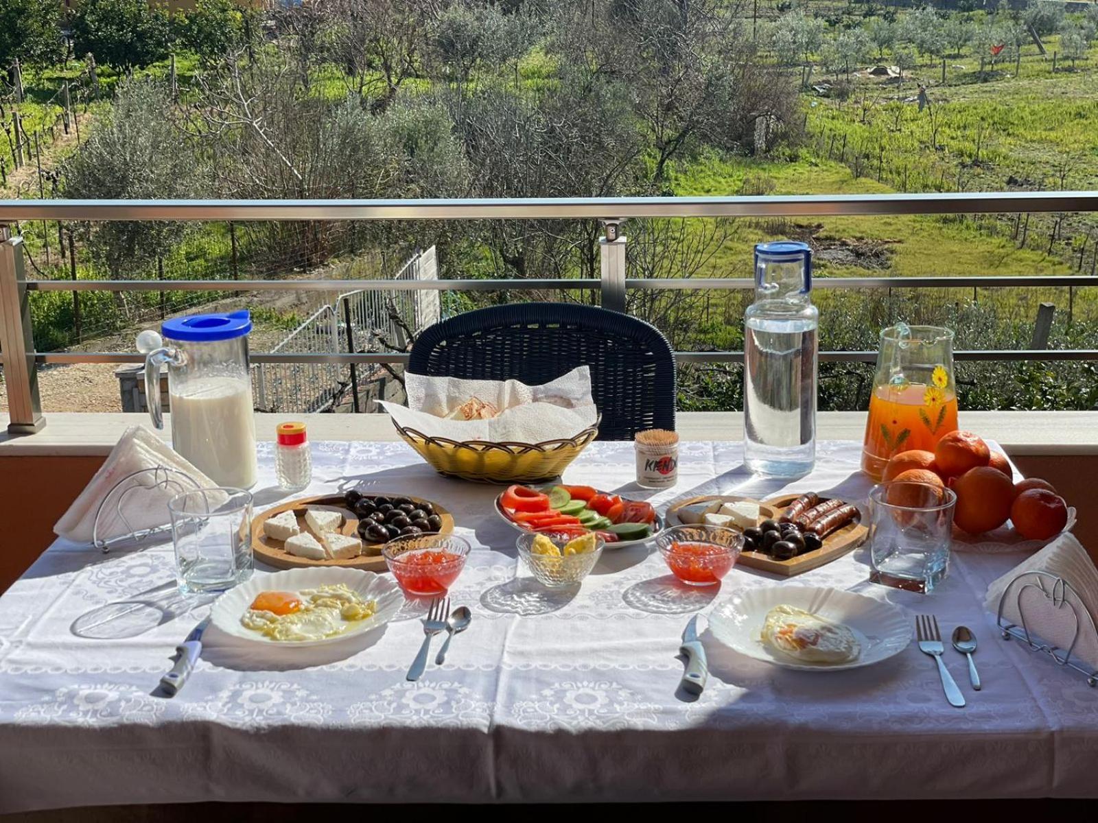 Harmony Villa Berat Exteriör bild
