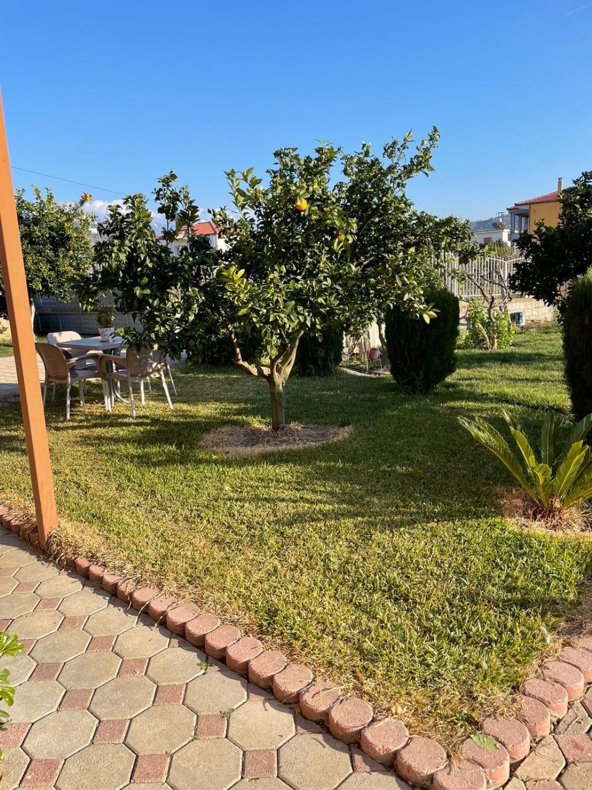Harmony Villa Berat Exteriör bild